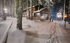 Çobankaya Orman Koskleri